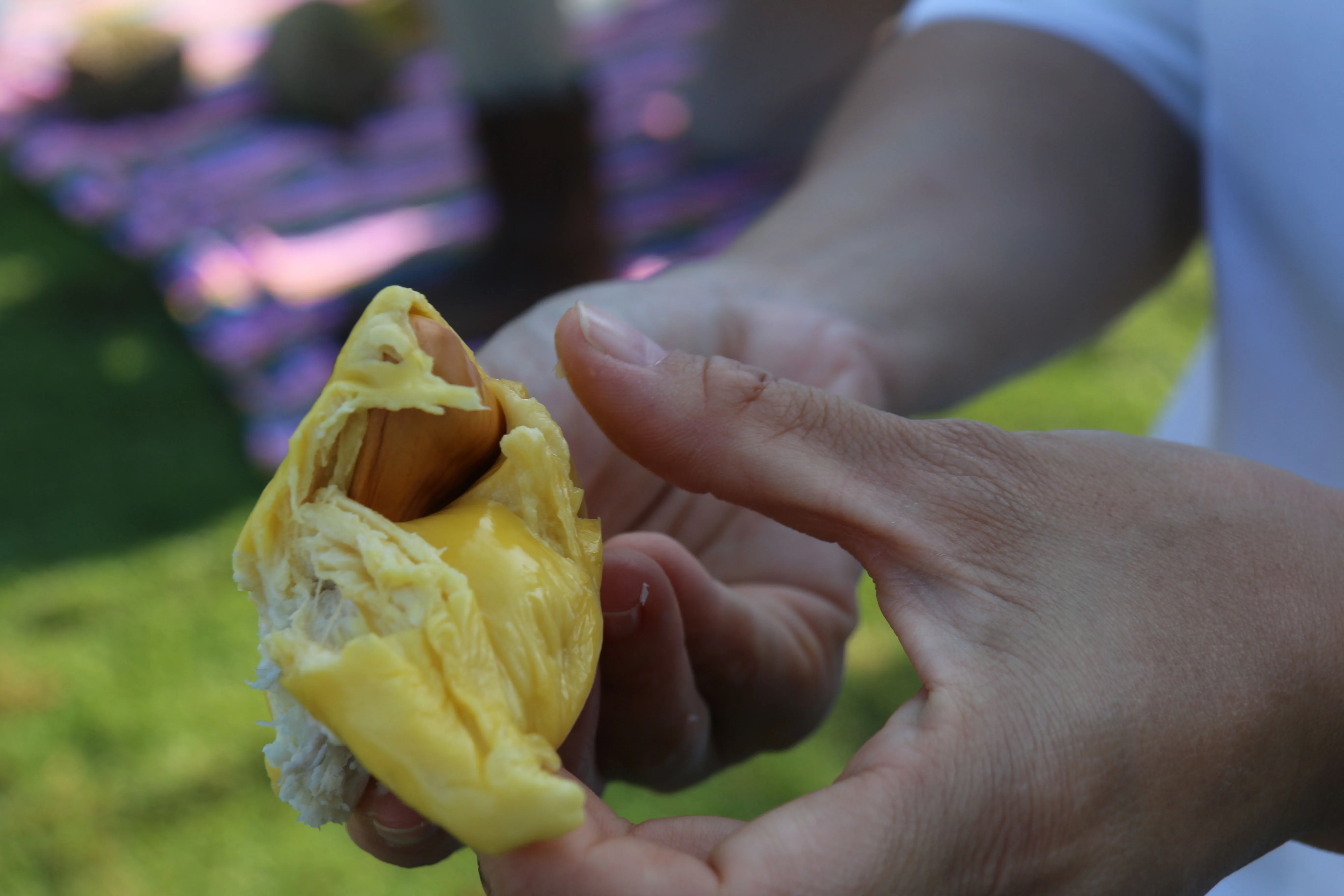 Премиум качество 2 кг замороженный Вакуумный пакет D197 Musang Durian из малайзии