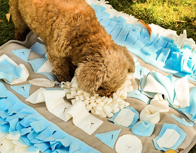 Polar Fleece Pet Dog Snuffle Mat Nose work Blanket Dog Training Mat for Stress Release and Slow Feeding Mat