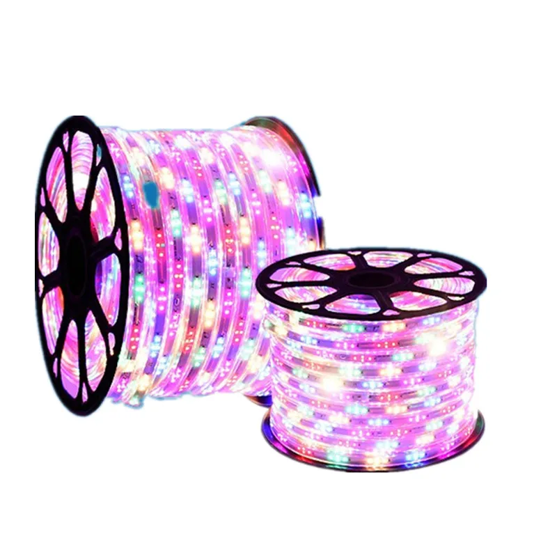 Распродажа Светодиодная лента 5050 IP67 Водонепроницаемая RGB 16 видов цветов веревка освещение с пультом дистанционного управления 220 В 110 50 м 100