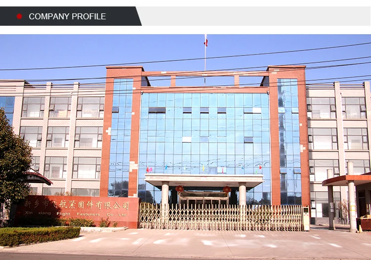 High Strength Alloy Stainless steel hex head bolt 