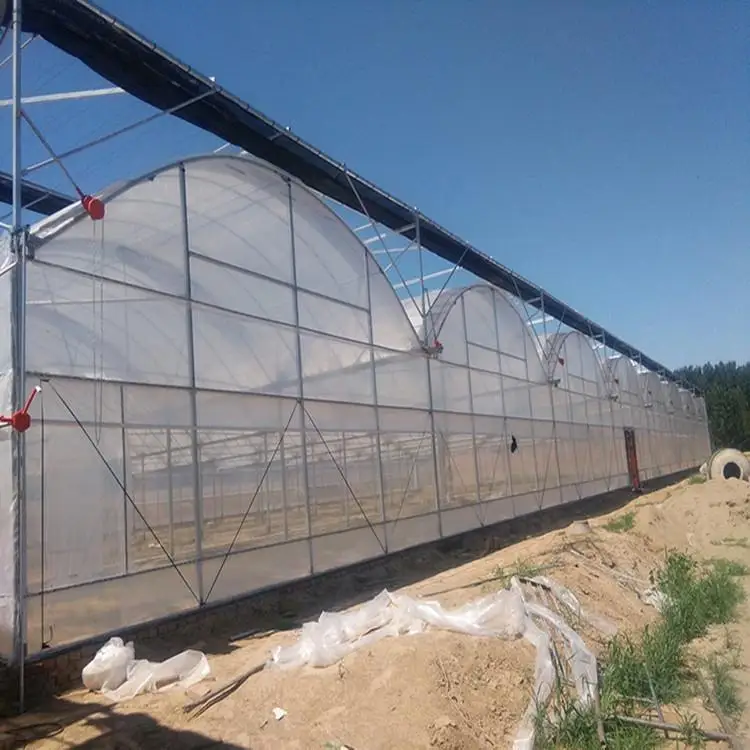 multi span agricultural greenhouses equipment with heating system