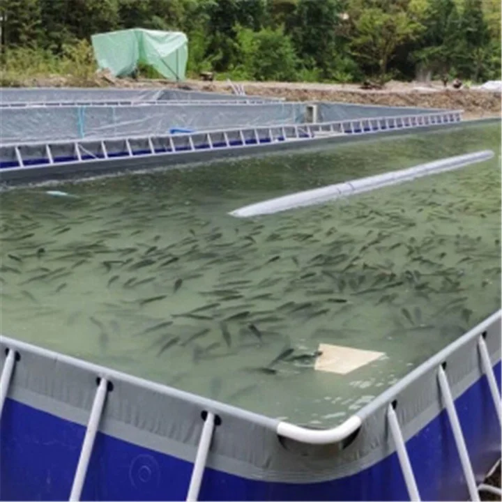 Последняя версия 2022 года складной аквариумный брезент SDM для тилапии/пруда окуня