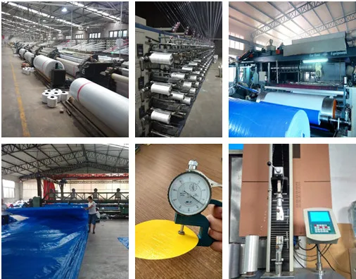 
PE Tarpaulin Roll in Stocklot/PE Tarpaulin Factory/Manufacturer 