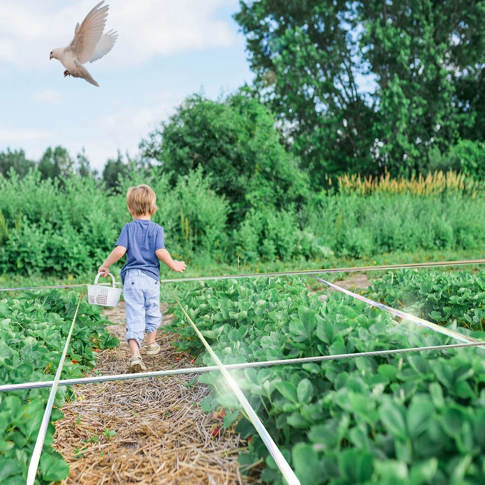 Scare Birds Reflective Tape, Holographic Tape Double Sided Glitter Tape for Pigeons Freckles Crows Starlings Swallows