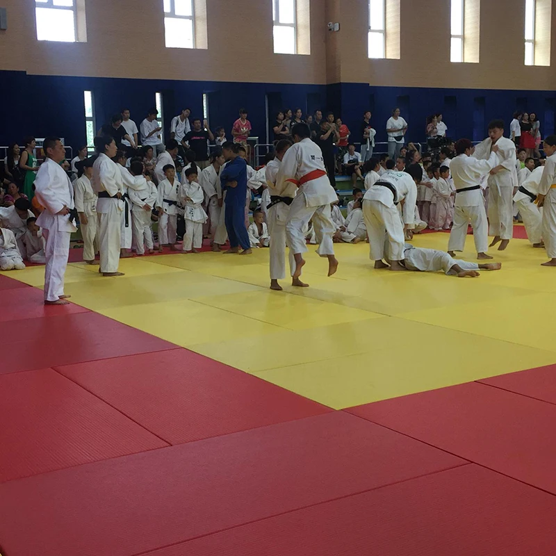 Wholesale High Quality Tatami Judo Mats Ijf Standard Mma 4cm 6cm for Sale