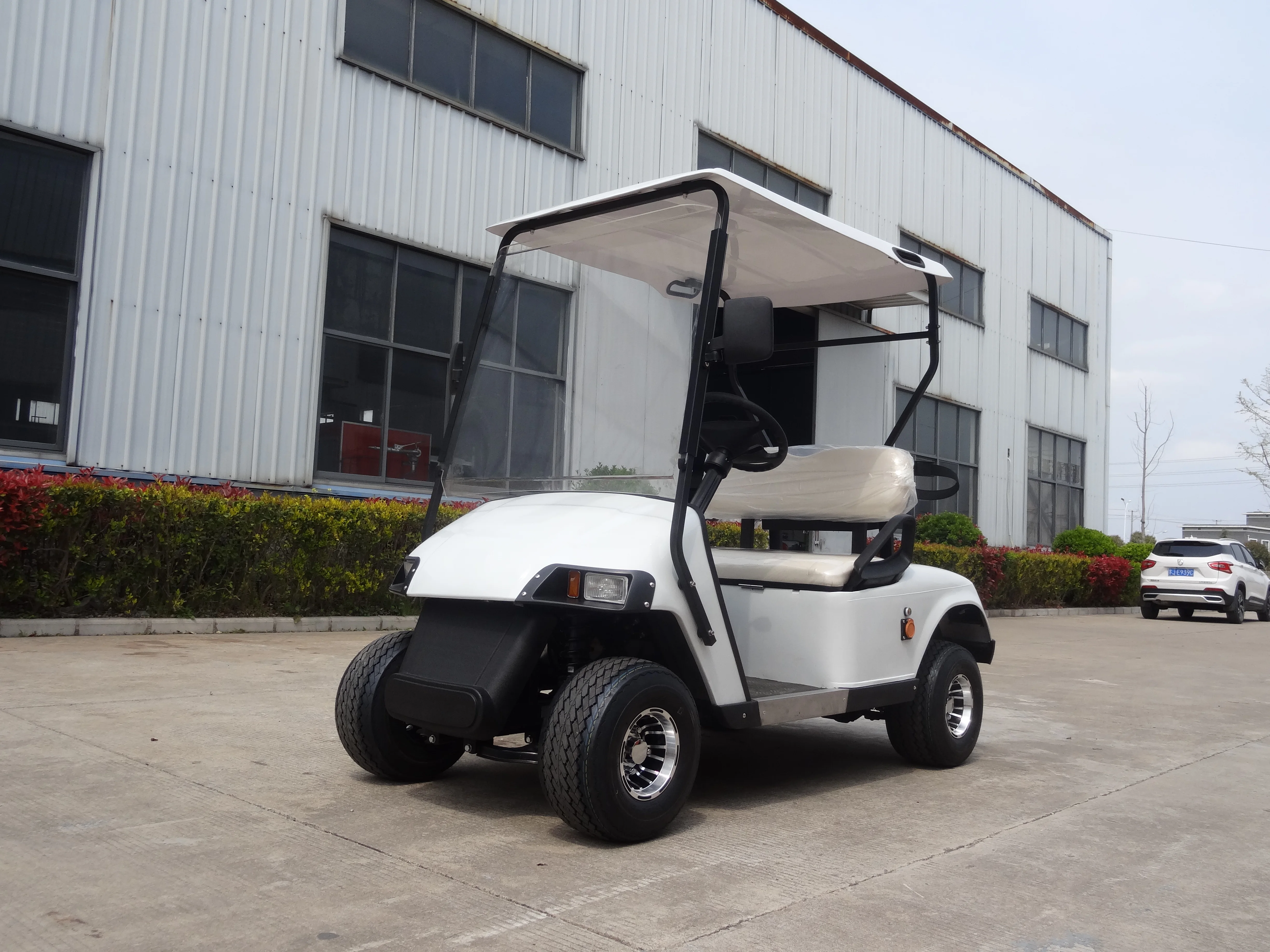 CE approved off road 2 passenger electric golf buggy