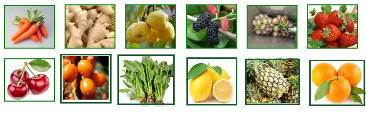 multi-fruit juice pressing  sugarcane juice extracting machine