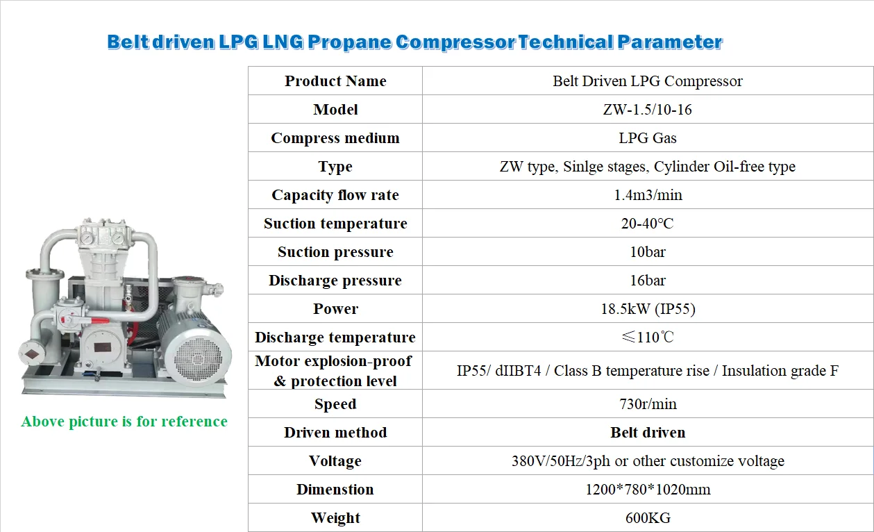 LPG LNG Compressor 6