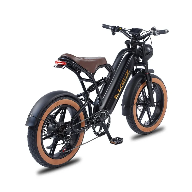 DUNCHI Best Quality Low Price Fat Tire 48v 750W Electric Bicycle E Bike Mountain E Bike Long Range