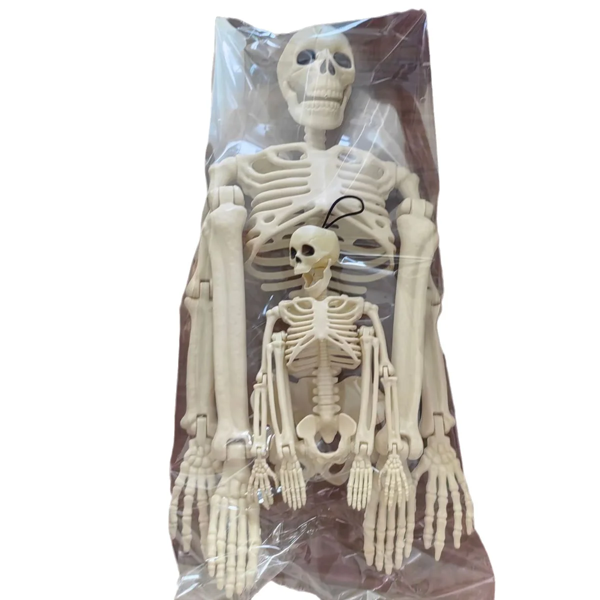 16 Inch Full Body Movable Halloween Hanging Skeleton Decoration with Movable Joints for Halloween Graveyard Haunted House Props