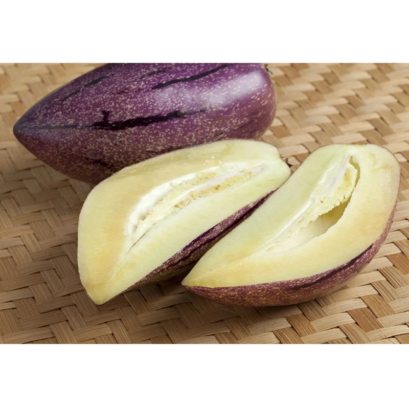 Лучшая цена, поставщик фруктов, сладкая Пепино, дыня, огурец, свежие фрукты