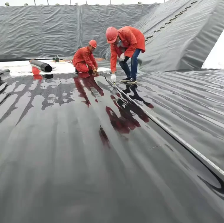 LongTai Best Quality Waterproof Material HDPE Geomembrane Pond Liner Reservoir Hdpe Film Swimming Pool Plastic Water Tank Film