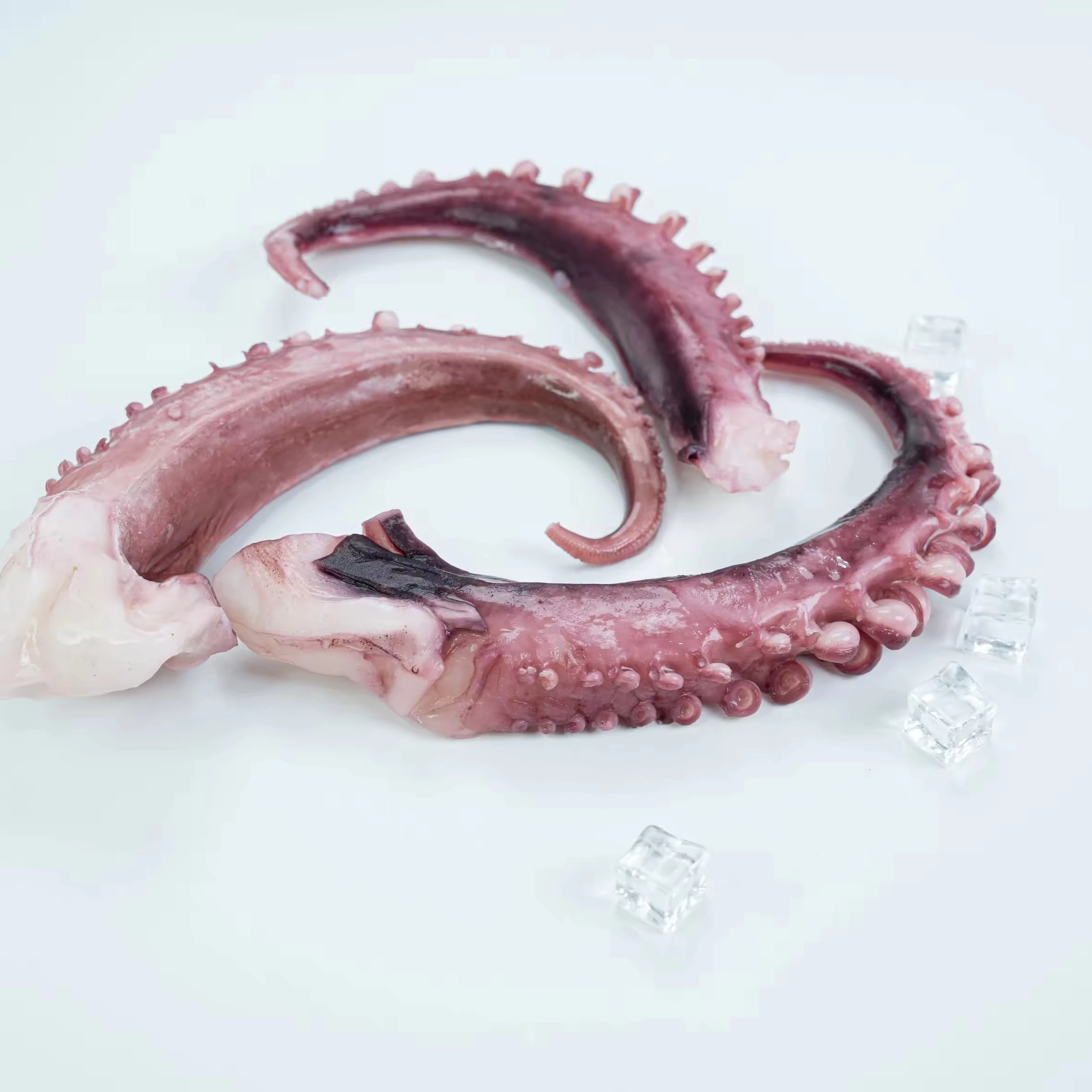 Good Quality New Season Frozen Cut Poulp Squid