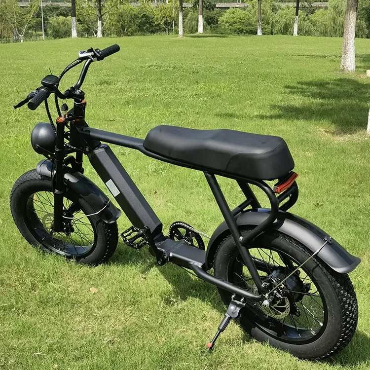 EU/US Wholesale Powerful Cafe Racer EBike 48V 750W Chopper Style Electric bicycle fat tire mid drive from China