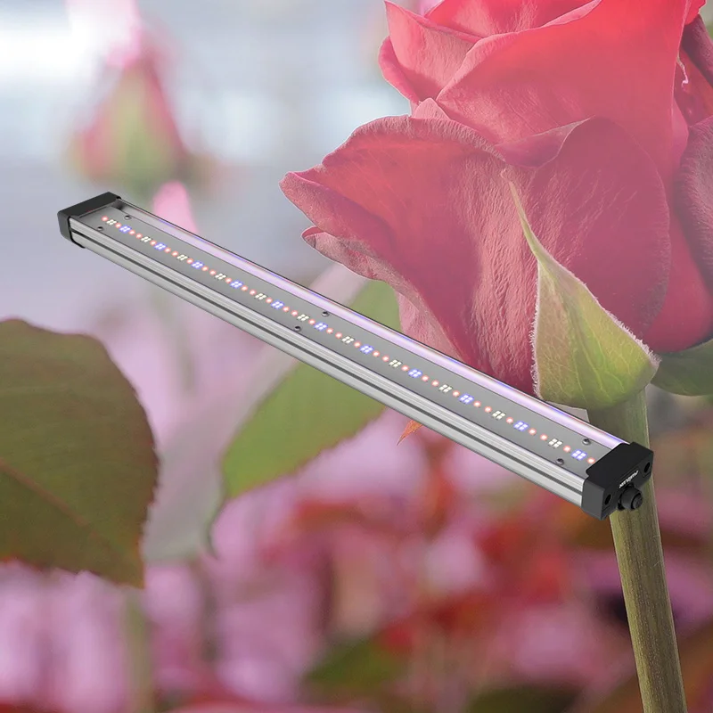 Full Spectrum Indoor Plant 40W 65W Quantum LED tube LED Grow Light tube Grow Lights Uv Ir Lm301b