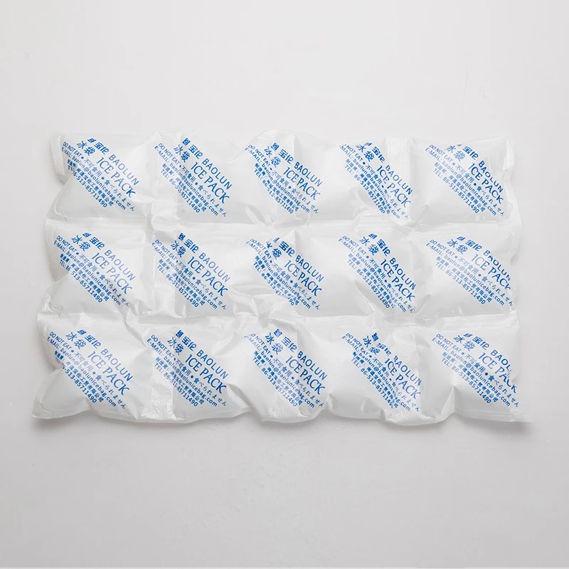 BSG 12 Cell Thin And Flat Reusable Cold Ice Packs For Meat Delivery Gel Pack Food Shipping Dry Ice Pack