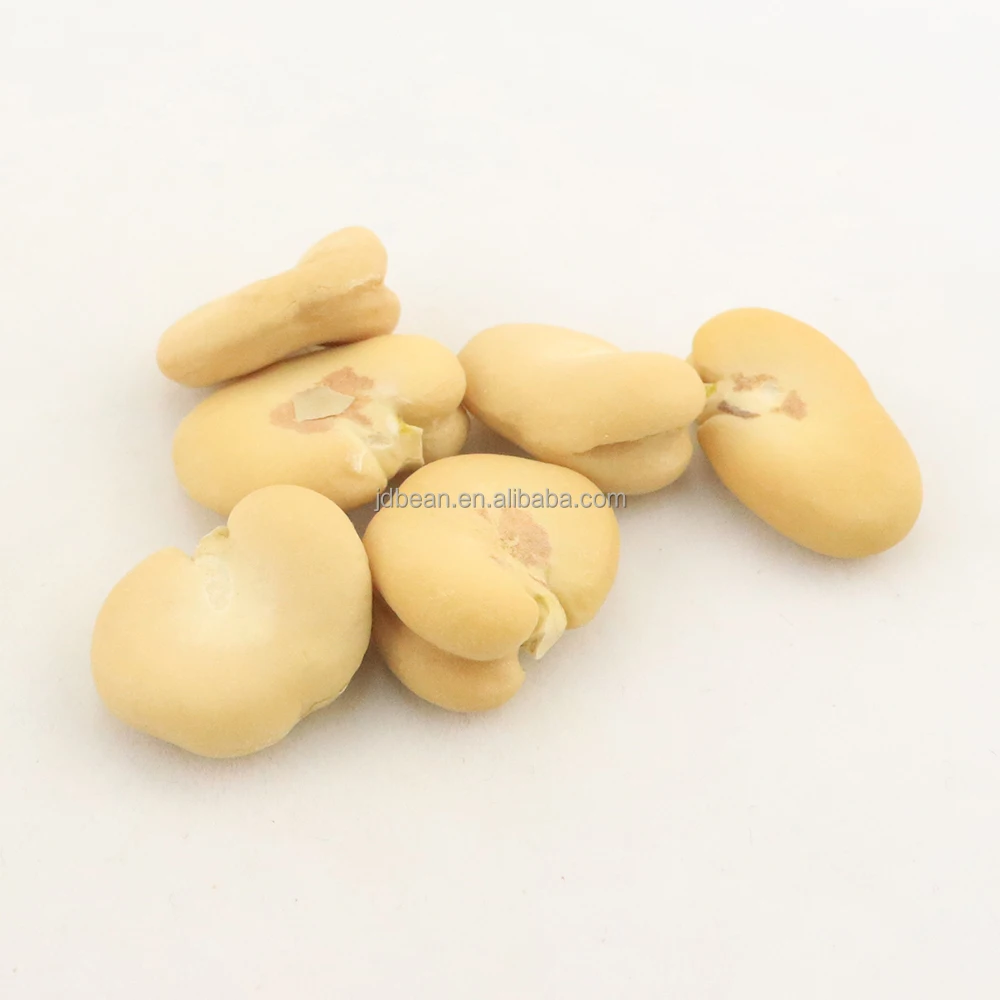 Raw Dried Double Peeled Broad Beans Fava Beans Price