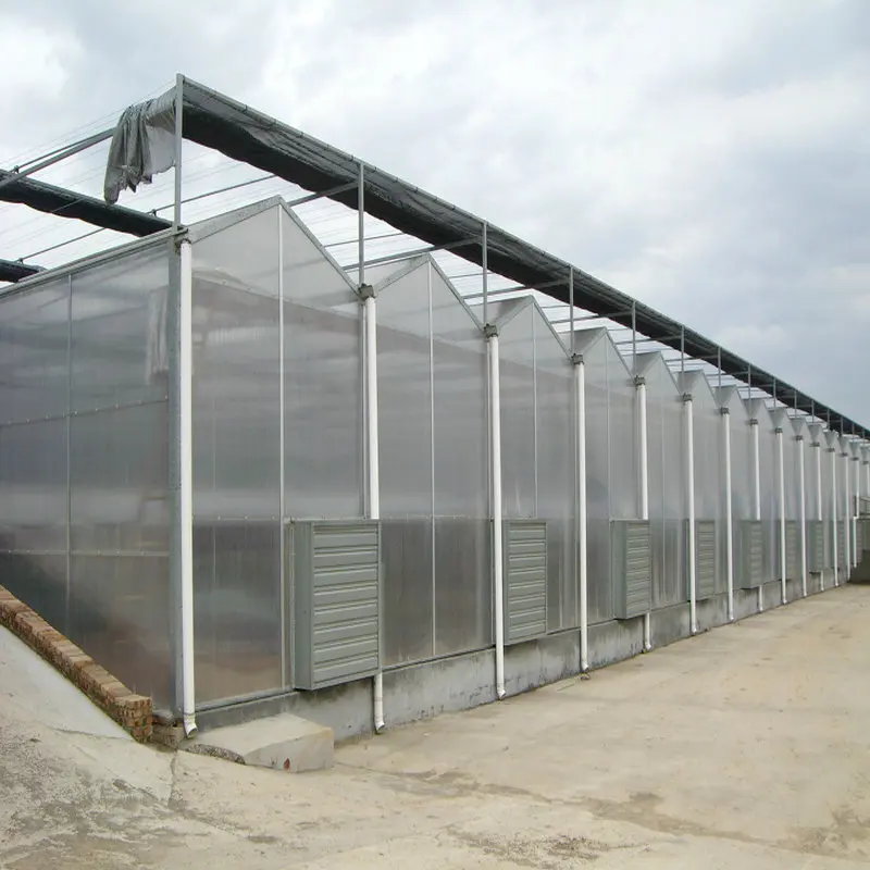 Polycarbonate agricultural vegetables solar greenhouse