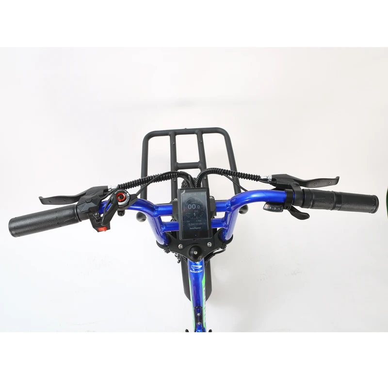2024 Newest Electric Tricycle Long Driving Range 2 Motors 2 Battery Electric Three Fat Wheel Cargo Bike