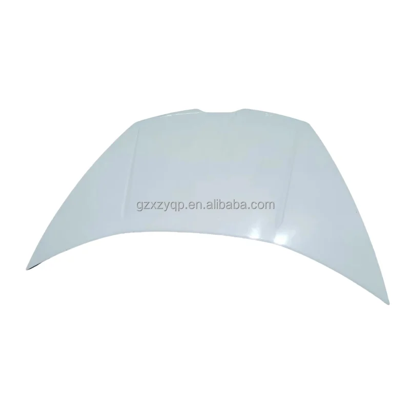 For Lamborghini Hurricane Original Used Engine Head Bonnet Original Perfect OEM 4T0823021C