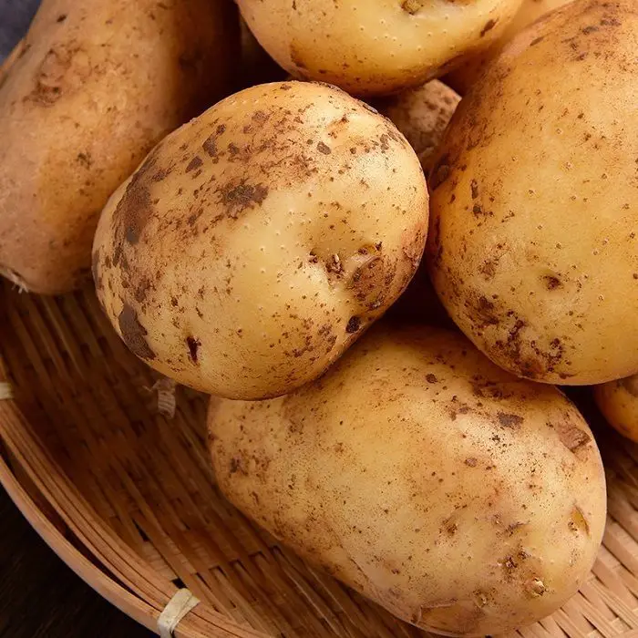 New Crop Holland Potato Seed/ Potato Wholesale Buyers/ Yellow Fresh Potato Prices