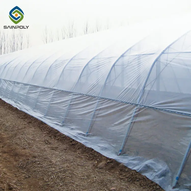 JDYApoly low cost mini poly tunnel agriculture green house vegetable high polythene tunnel garden greenhouse for tomato