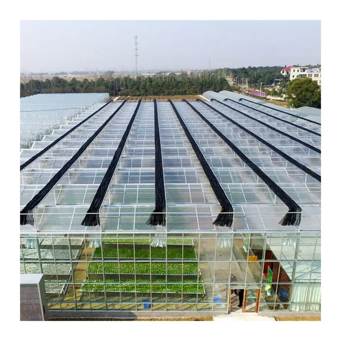 
Can be customized upon request polycarbonate panels greenhouse for fish and shrimp fish 