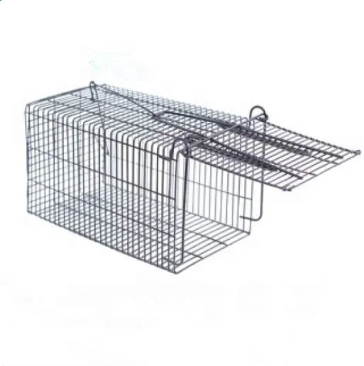 Galvanized Iron Wire Double Door Rat Mouse Cage Trap Humane Live Catching Rat Trap Cage