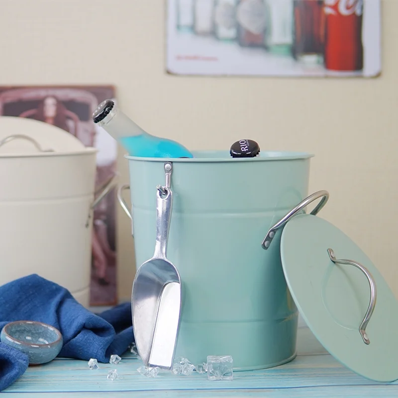 Ice bucket with plastic liner and ice scoop