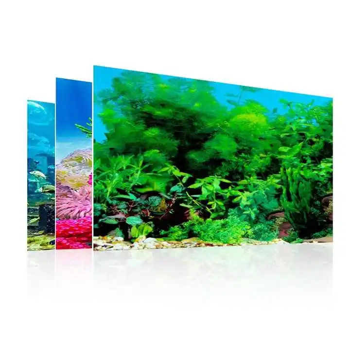 Manufacturer Aquarium Background Sticker Double Sided Fish Tank Decorative Pictures Underwater Backdrop Decor