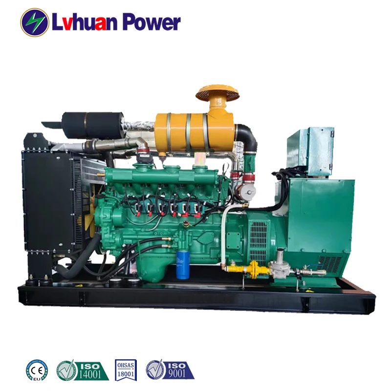 certificate ce high efficiency 120 kw  power biogas generator