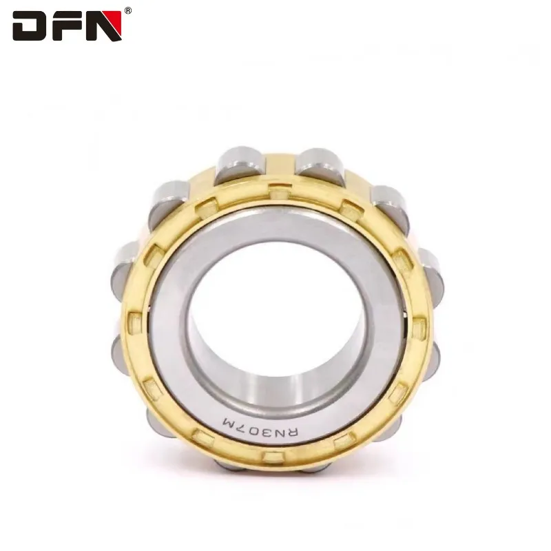 Brass Cage Reducer Gearbox Cylindrical Roller Bearing RN307 RN307E RN307EM RN307M