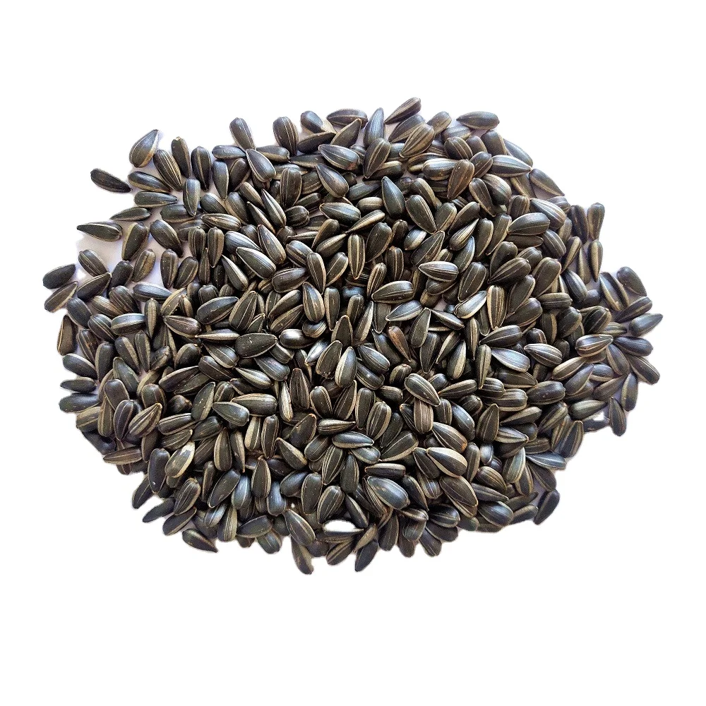 Bird seed bulk sunflower seed kernel bakery