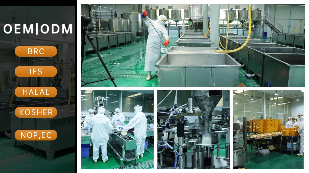 Low Carb High Fiber Tasty Konjac Noodles