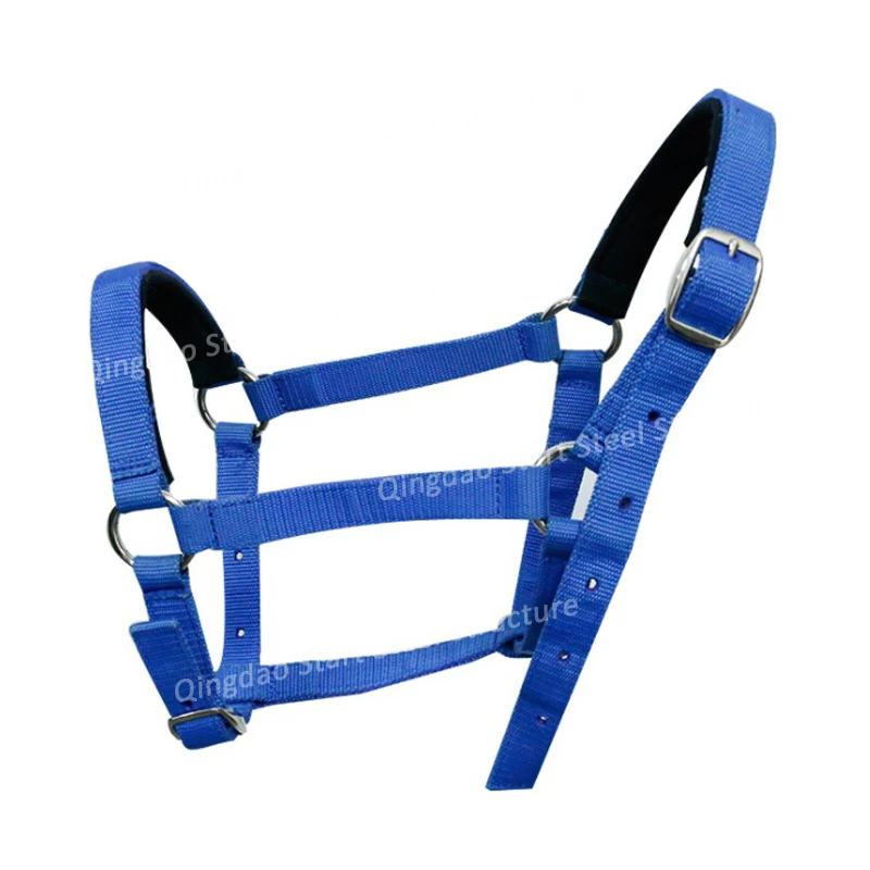 Colorful Horse racing used PVC material durable Horse Halter
