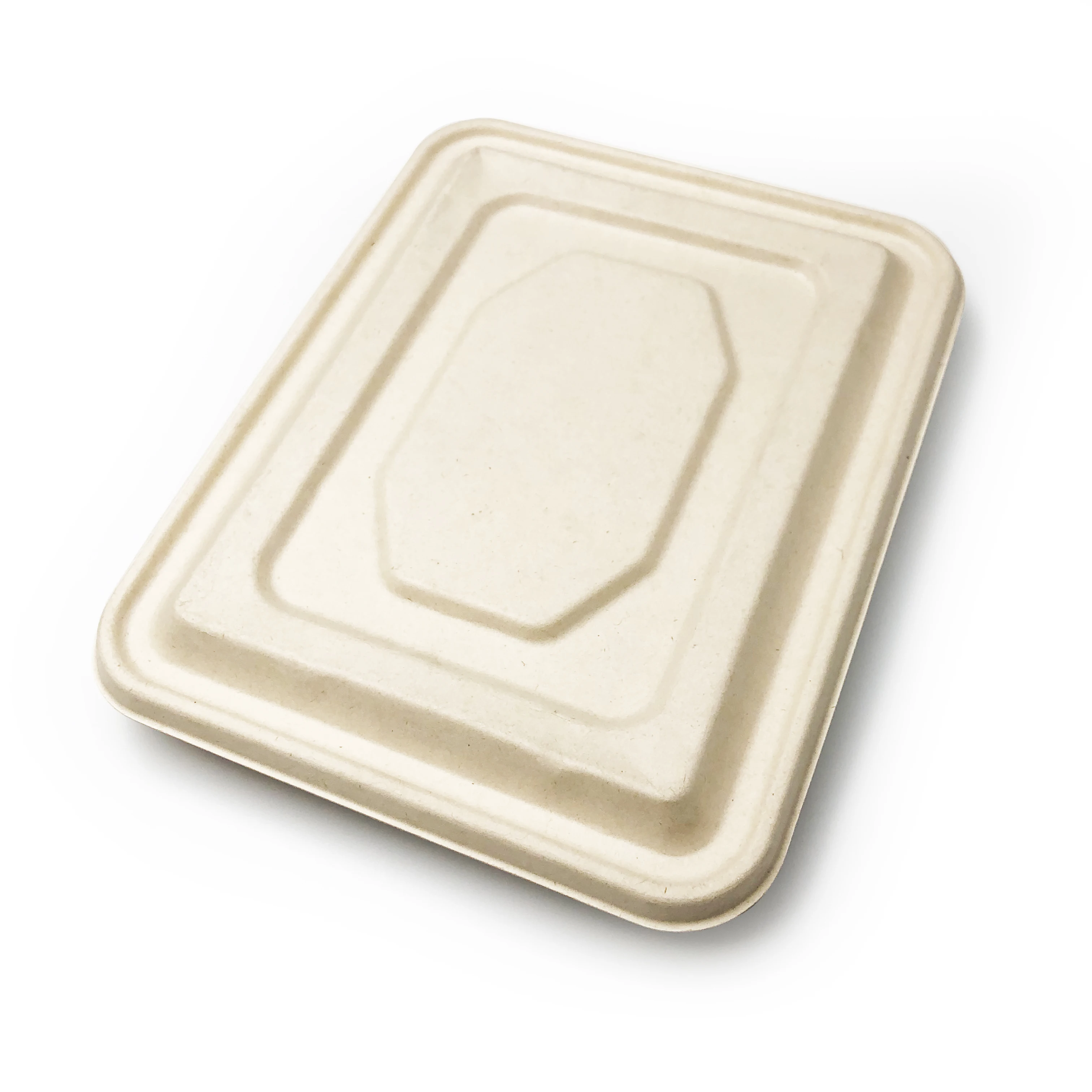 Disposable Food Tray With Bagasse 5 Compartments Biodegradable Lunch Tray meal tray