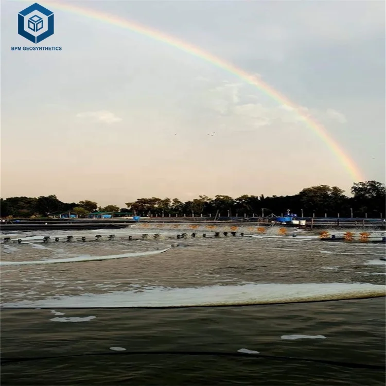 Smooth 30mil 20mil Thickness HDPE Geomembrane for Aquaculture Project in Malaysia