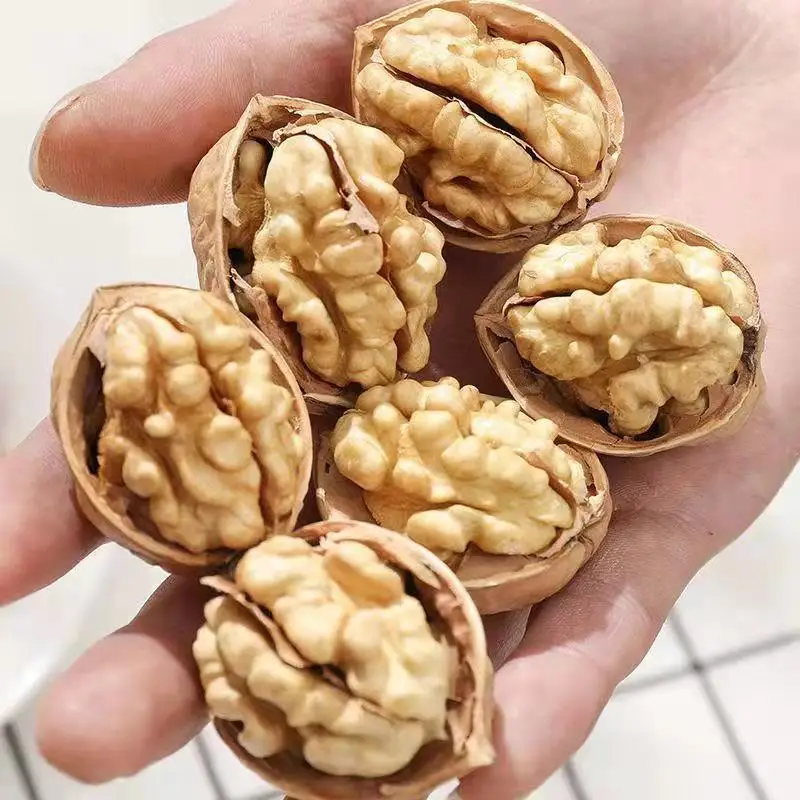 Excellent Quality Thin-skin Raw Walnut With Shell In Bulk Wholesale Walnut In Shell