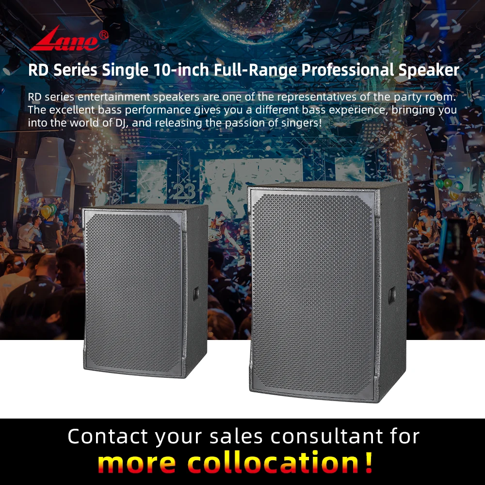 Lane RD10 In Stock Single 10 inch Full Range Passive PA Night Club Soundbar Subwoofer  Professional Speakers System