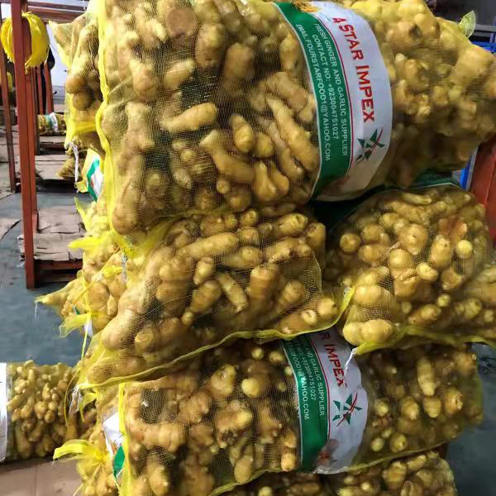 High quality of new crop Fresh ginger air dry or dried ginger root market price
