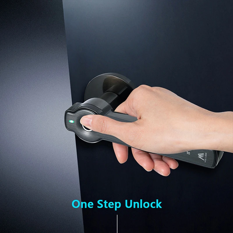 smart pass key zigbee bluetooth gateway APP remote authorization apartment fingerprint spherical lock