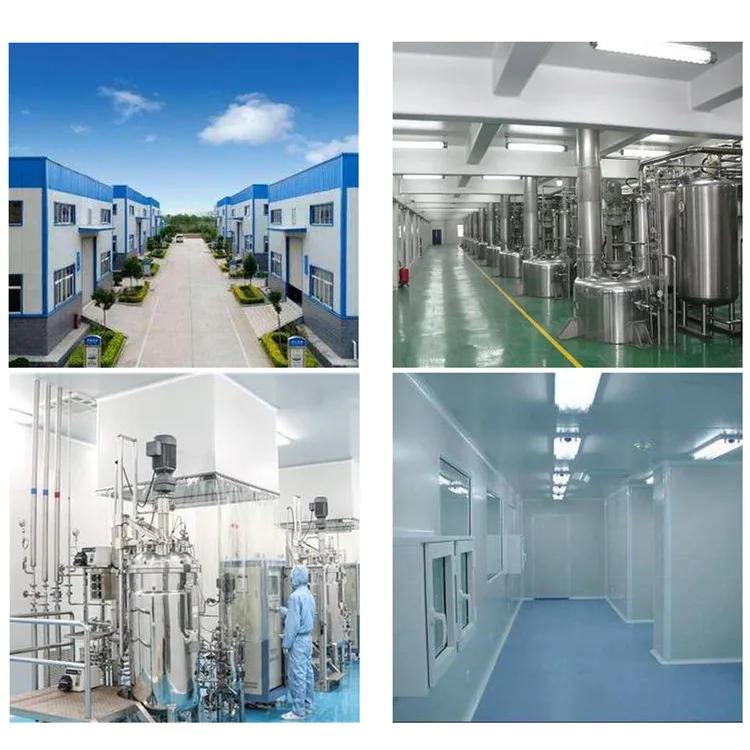 Organic Food Coloring Marigold Flower Extract Lutein 5%-90%  Marigold Extract