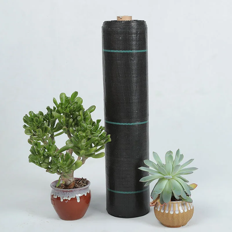 Custom-Size PP Woven Membrane PE Ground Cover Mesh Weed Mat Roll Anti-Grass Control Cloth for Garden Supplies Mulch Film