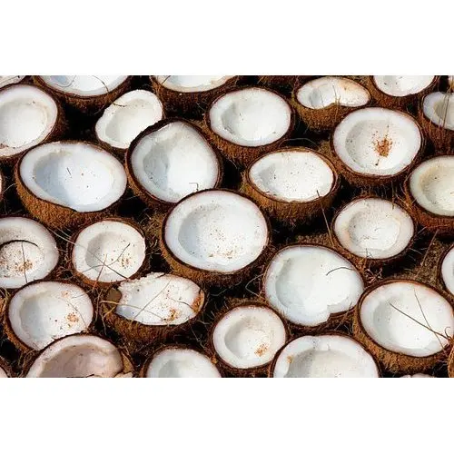 Тропические фрукты, свежие зеленые полуочищенные экспортеры, высокое качество, лидер продаж, высококачественные сухие кокосы белого цвета на продажу