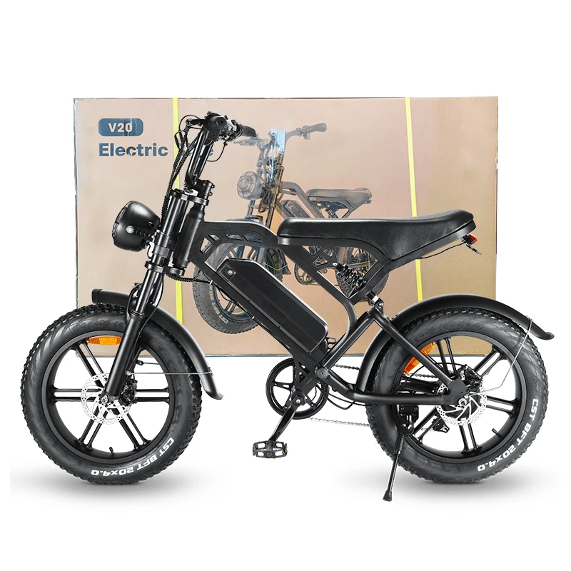 EU Stock Ebike 750W Electric Bike 20'*4 Big Tire Fat Bike Electric Mountain City Ride Off Road Electric Bikes
