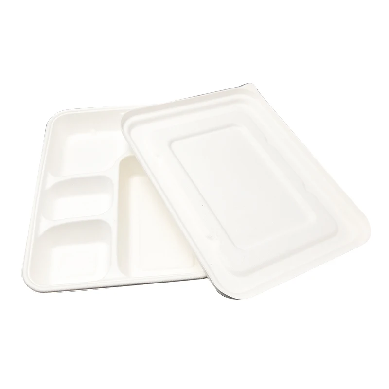 Kingwin 600ML Biodegradable Disposable Food Container Sugarcane Bagasse Packing Box Eco friendly Tableware Take Away Container