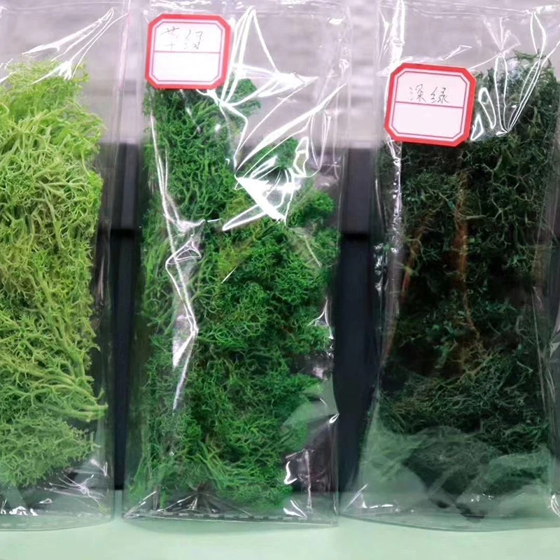 
Chinese supplier new products preserved Moss flower for Wall decoration 