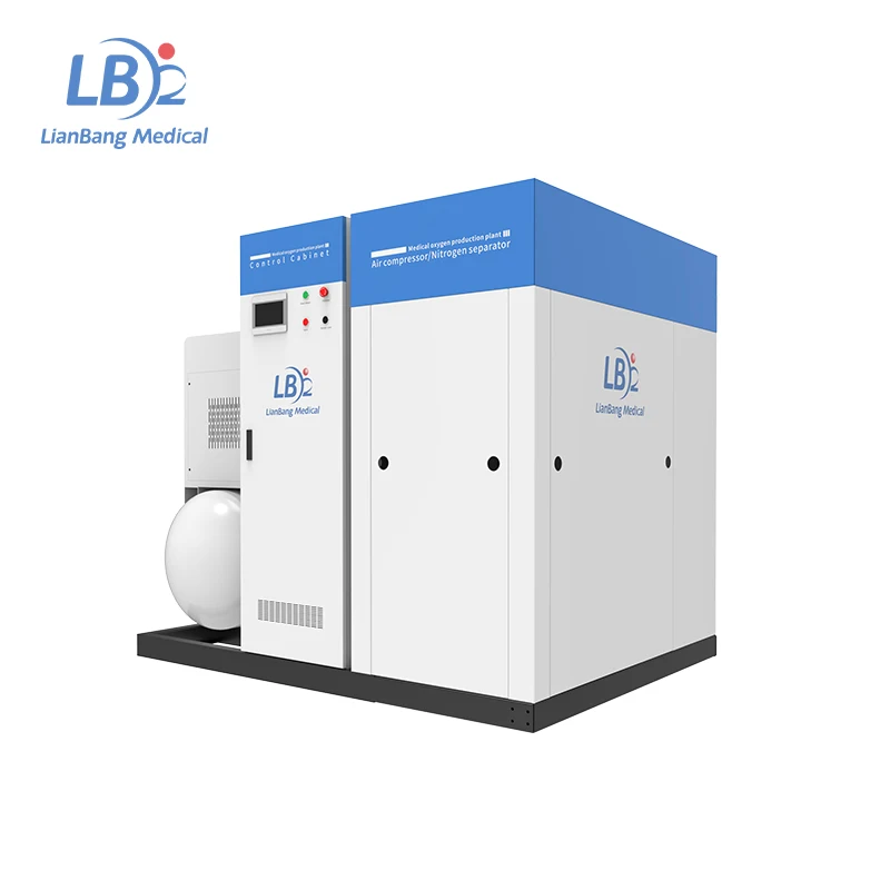 Intelligent technology medical molecular sieve oxygen plant generator PSA low pressure oil-free equipment