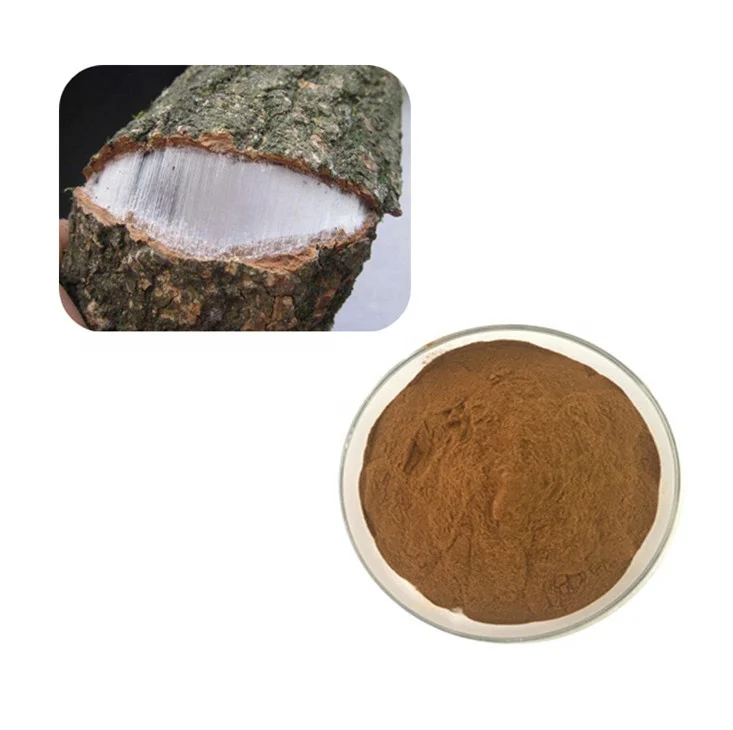 100% Natural Eucommia Ulmoides Bark Extract Powder Chlorogenic Acid
