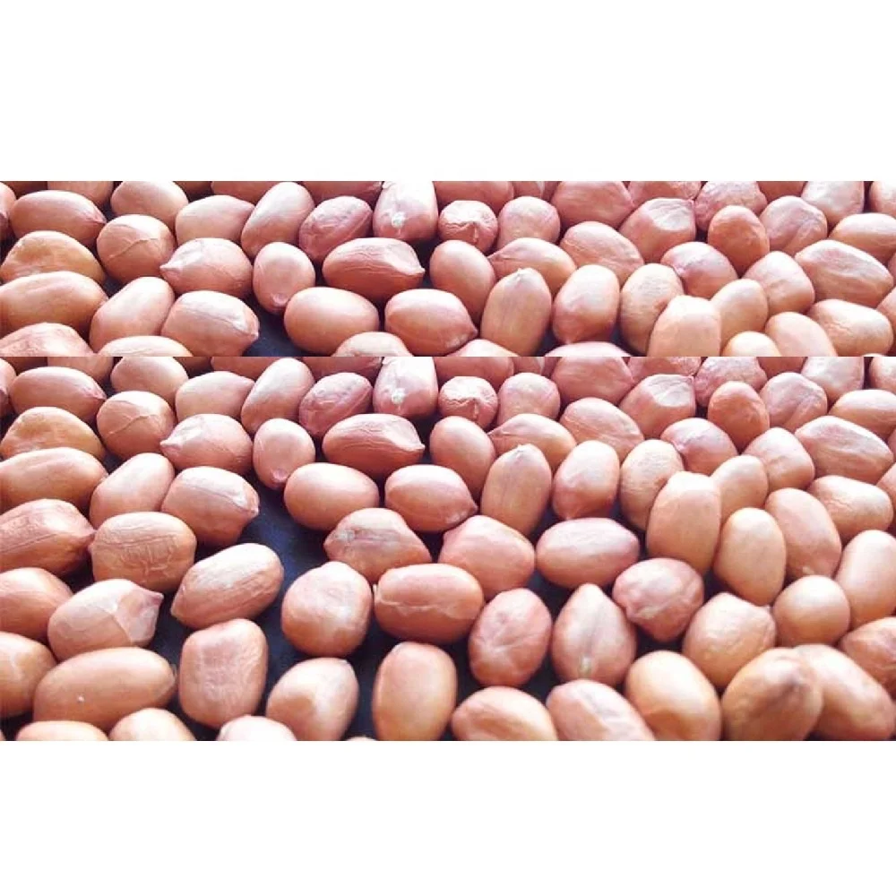 Ground nuts  Peanut supplier and manufacturer of quality groundnuts best selected and sorted quality